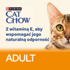 PURINA Cat Chow Adult cat food with salmon and green beans in jelly 85g