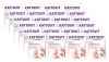 NO PORK Kattovit Niere/Renal Duck 24x85g