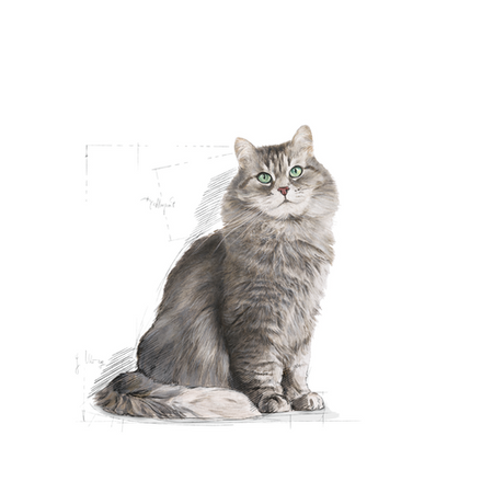 ROYAL CANIN Sensible 33 400g