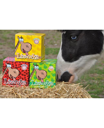 Candy Bells Cherry Lollipop for horses 600g