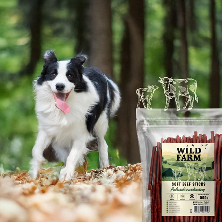 WILD FARM beef sticks 2x500g dog treats