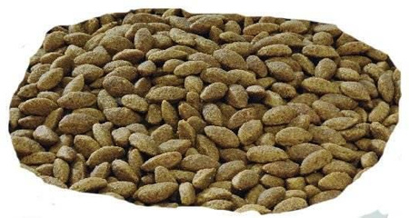 Purina Pro Plan Medium & Large 7+ Sensitive Optiderma Salmon & Rice 14kg