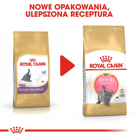 ROYAL CANIN British Shorthair Kitten 2kg dry food for kittens, up to 12 months, British Shorthair breed