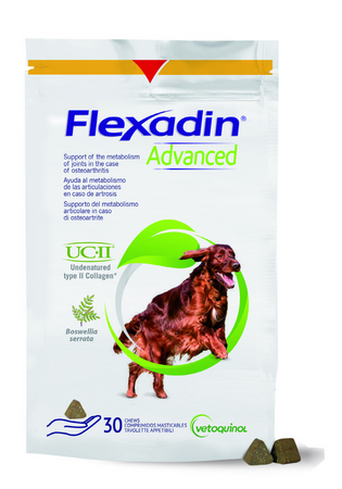 VETOQUINOL Flexadin Advanced Dietary Supplement for Dogs 90g (30 bites)