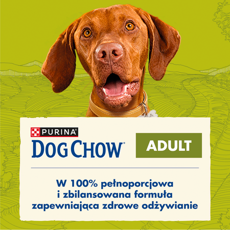 PURINA Dog Chow Adult Lamb 2,5kg