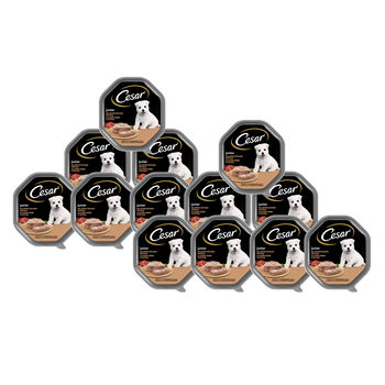 CESAR Junior tray 14x150 g – complete wet food for puppies, with turkey and veal, in pate