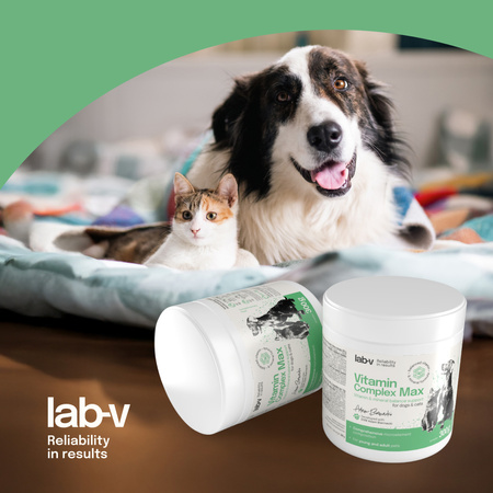 Vitamin Complex Max – Complex of vitamins and minerals for dogs and cats 2x300 g