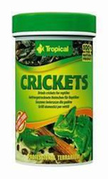Tropical Crickets 100 ml