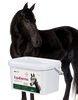 Lab-v EquiDerma Complementary feed mixture for horses and ponies to support the condition of skin, coat, and hooves 2000g