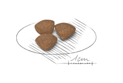 ROYAL CANIN Mini Puppy 8kg