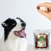 WILD FARM duck roll 500g dog treats