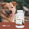 Lab-v Glandala - Supports the proper functioning of the anal glands and digestive tract in dogs 90 capsules