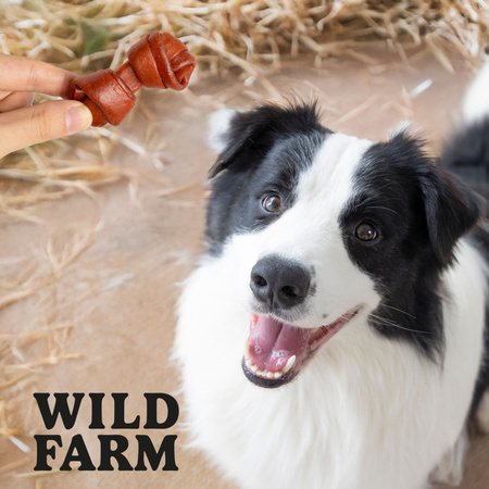 WILD FARM Soft lamb cubes 500g dog treats