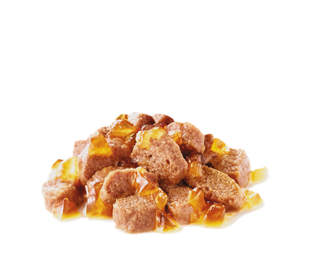 ROYAL CANIN Instinctive Gelee 12x85g