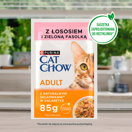 PURINA Cat Chow Adult cat food with salmon and green beans in jelly 10x85 g