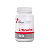 VETEXPERT Arthrovet HA 90 tablets