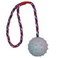 Trixie Ball on a String 6/30 cm