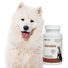 Lab-v Glandala - Supports the proper functioning of the anal glands and digestive tract in dogs 2x45 capsules 