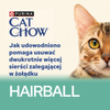 CAT CHOW Hairball Cat Food with Chicken and Green Beans in Sauce 85g - 20 SIZES + 6 FREE !!!