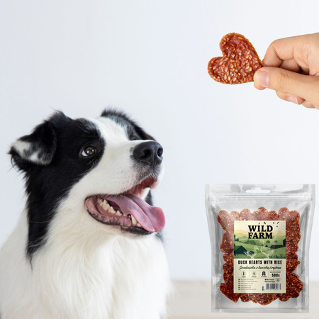 WILD FARM Hearts with duck and rice 500g dog treats