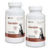 Lab-v Glandala - Supports the proper functioning of the anal glands and digestive tract in dogs 2x90 capsules 