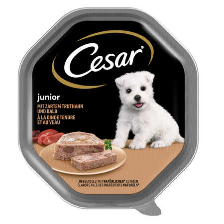 CESAR Junior tray 150 g – complete wet food for puppies, with turkey and veal, in pate