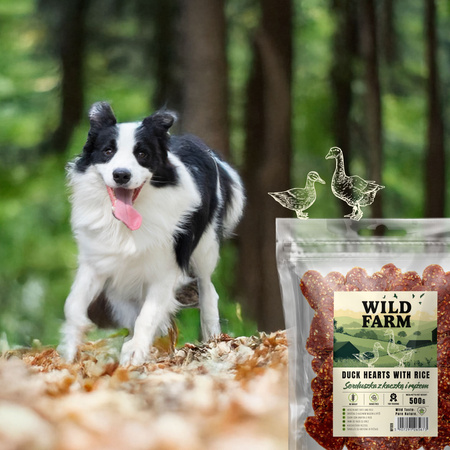 WILD FARM Hearts with duck and rice 500g dog treats