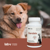 Lab-v Glandala - Supports the proper functioning of the anal glands and digestive tract in dogs 2x45 capsules 