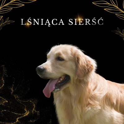 Lab-V 100% Salmon Oil for Dogs and Cats of All Ages 500ml Cold-pressed