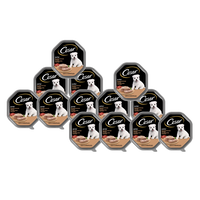 CESAR Junior tray 14x150 g – complete wet food for puppies, with turkey and veal, in pate