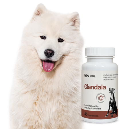Lab-v Glandala - Supports the proper functioning of the anal glands and digestive tract in dogs 45 capsules