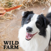 WILD FARM soft duck breast 500g dog treats