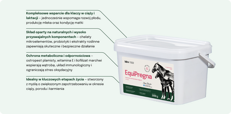 Lab-v EquiPregna Complementary feed mixture for pregnant and lactating mares, supporting pregnancy, fetal development, and milk production 2000g