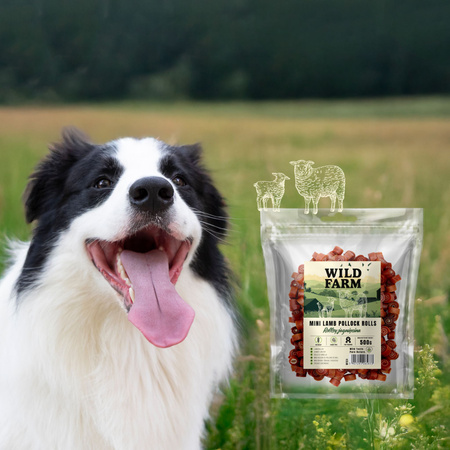 WILD FARM lamb rolls 500g dog treats