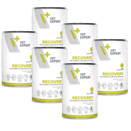  no pork VETEXPERT Veterinary Diet Recovery 6x400g
