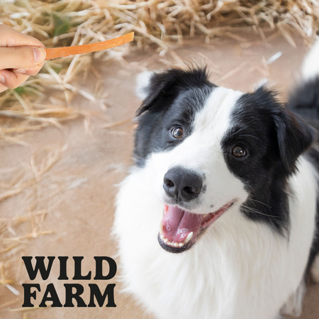 WILD FARM soft chicken strips 500g dog treats