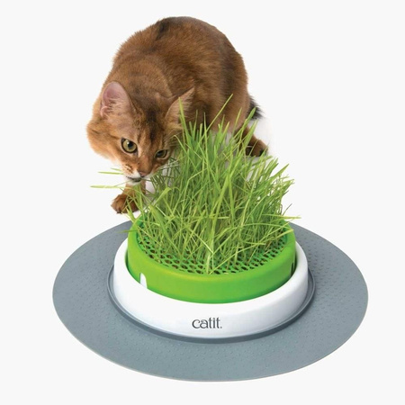 CATIT Grass Garden Set