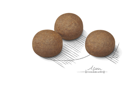 ROYAL CANIN CCN Maxi Digestive Care 3kg