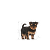 ROYAL CANIN Yorkshire Terrier Puppy 500g