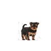 no pork ROYAL CANIN Yorkshire Terrier Puppy 1.5kg