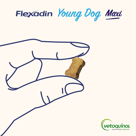 VETOQUINOL Flexadin Young Dog Maxi 60bites