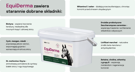 Lab-v EquiDerma Complementary feed mixture for horses and ponies to support the condition of skin, coat, and hooves 2000g
