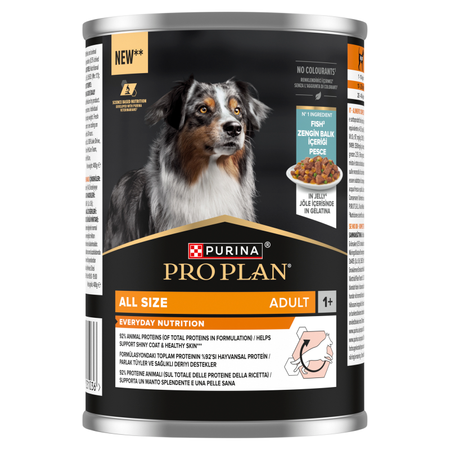 PRO PLAN Everyday Nutrition Adult Dog Food Mix of Flavors in Jelly 6x400g