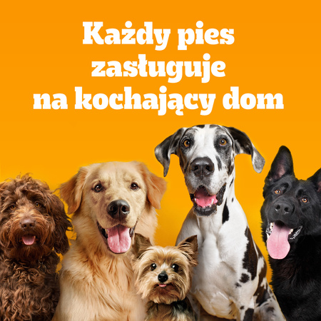 PEDIGREE® Adult Professional Nutrition 12kg with poultry and vegetables - complete dry food for adult dogs of large and medium breeds