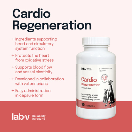 Lab-v Cardio Regeneration – Support for the proper functioning of the heart and circulatory system for dogs and cats 2x90 capsules