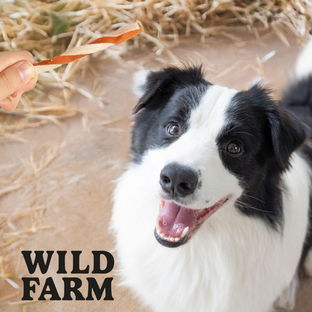 WILD FARM chicken and cod sandwich 500g dog treats