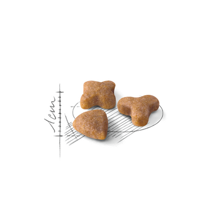 ROYAL CANIN Sensible 33 400g