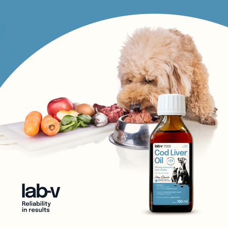 Lab-v Cod Liver Oil – 100% cod liver oil for dogs and cats, 2x100 ml