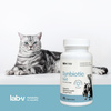 Lab-v Synbiotic Vet – Supports digestive health and intestinal microflora in dogs and cats 45 capsules