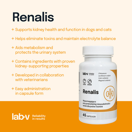 Lab-v Renalis – Support for chronic renal failure in dogs and cats, 45 capsules